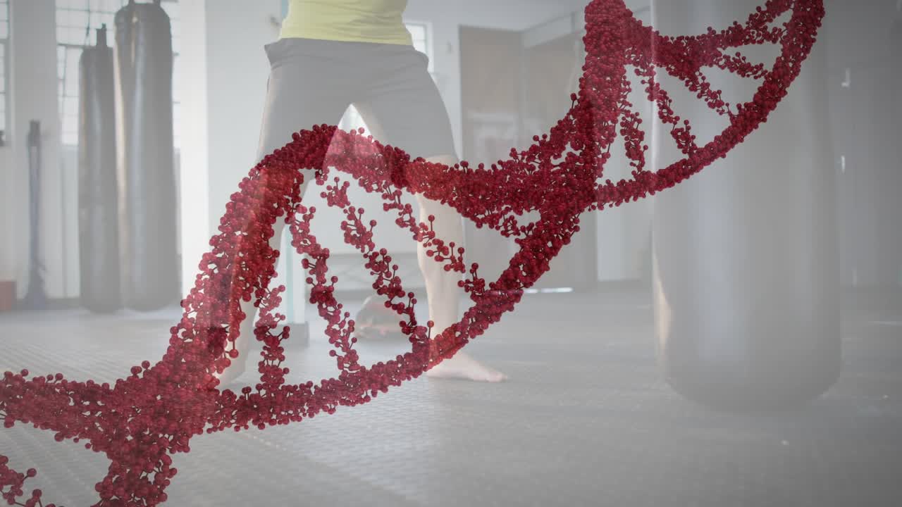 Male trainee boxer training in gym, animated red helix sweeping bag revealing stepping and punching