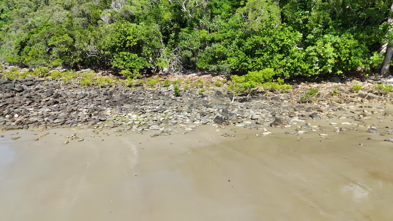 Drone footage captures a serene tropical beach with lush mangroves in Port Douglas, Australia, under bright sunlight
