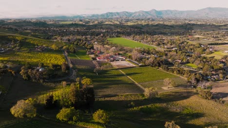 Imágenes-Aéreas-De-Drones-Sobrevolando-Tranquilos-Viñedos-En-El-Campo-De-Santa-Ynez-California,-Cordillera-En-El-Horizonte