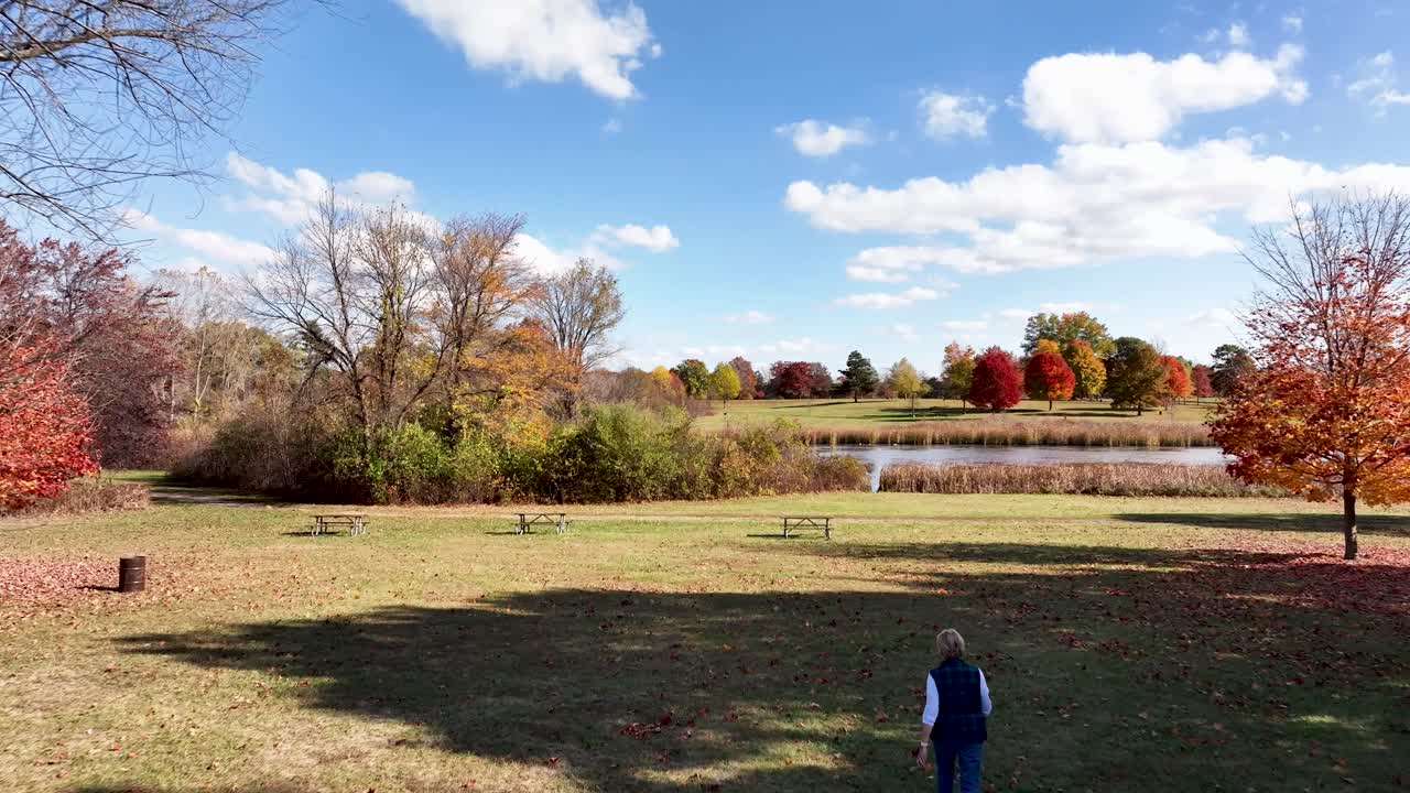 Drone view of an older woman retiree walking in Stony Creek Metropark in Shelby Township Michigan on a beautiful autumn day