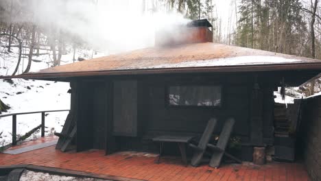 Casa-De-Sauna-Forestal-En-Letonia,-Ziedlejas,-2020,-20-De-Febrero