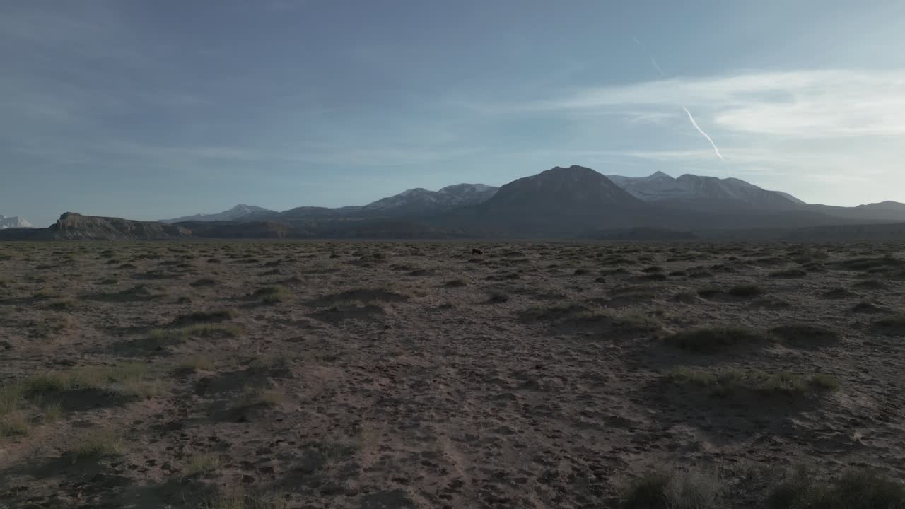 Desert Landscape And Mountains In Remote Area Of Utah, United States