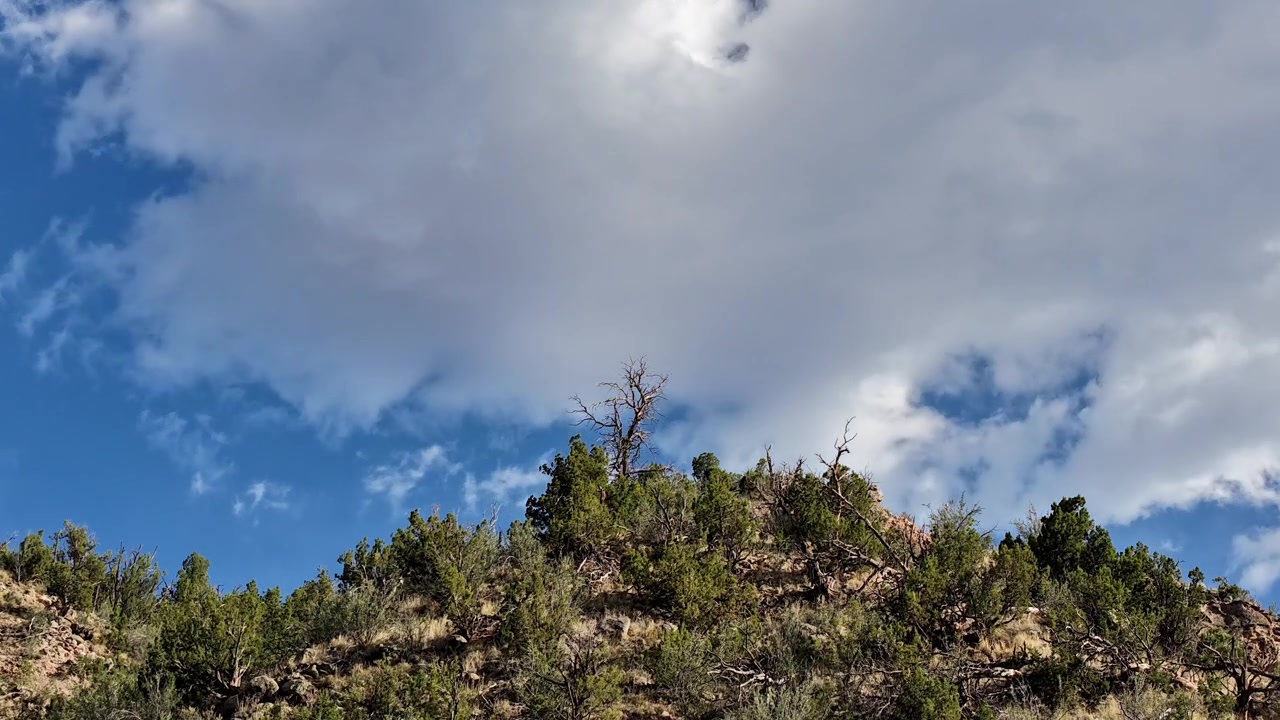 Un timelapse 4K realizzato con drone riprende un albero scheletrico solitario su una collina contro nuvole drammatiche e in rapido movimento. Il movimento cinematografico evidenzia il contrasto tra l'albero desolato e il cielo dinamico e mutevole.