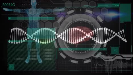 Animation-of-dna-strand,-network-of-connection-and-data-processing-over-scope