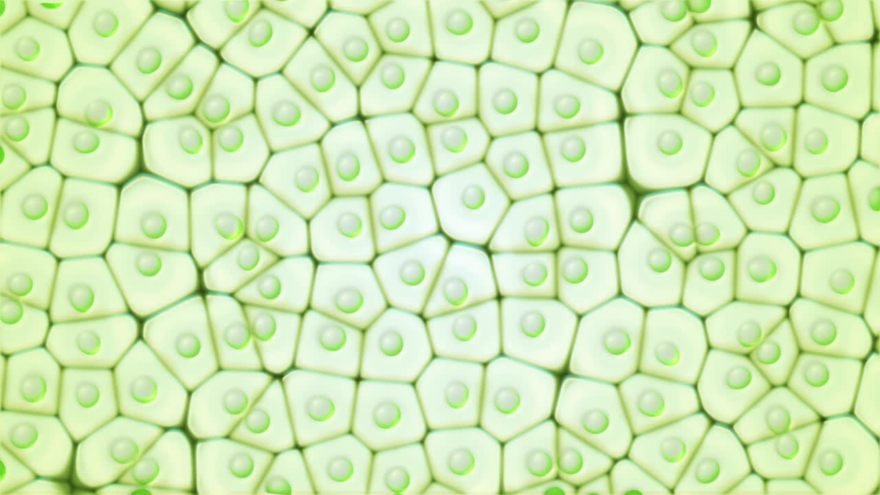 célula eucariota de cloroplastos. animación sin costuras bajo el microscopio. formación microscópica verde en una célula vegetal. investigación e ingeniería genética. biología y concepto científico. video de bucle de adn genético. 4k