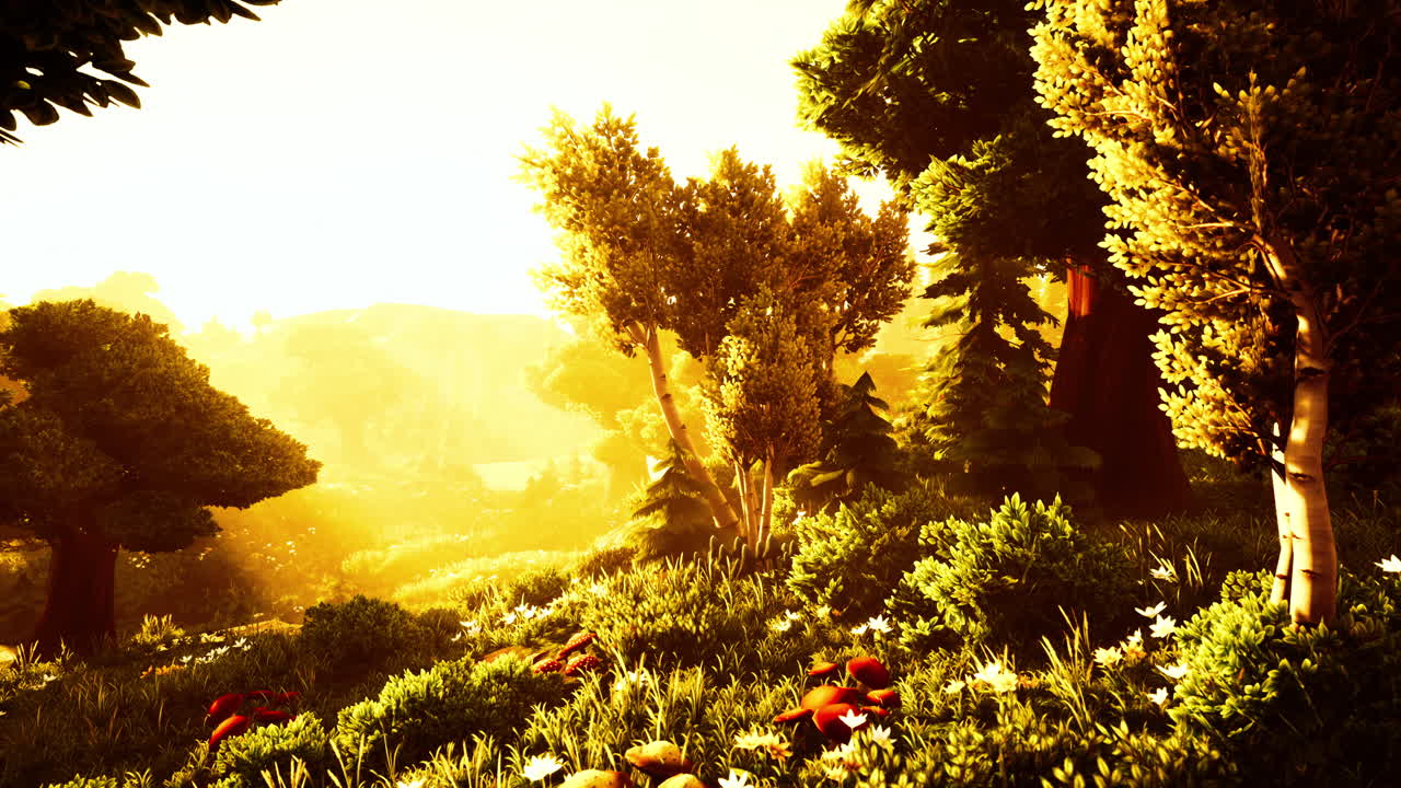 안개가 많은 아침에 만화의 해가 뜨는 것