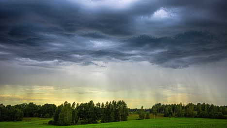 Cloudscape-Turbio-Sobre-Densos-árboles-Y-Prados