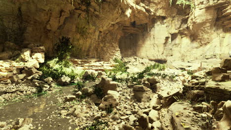 bright canyon with lush greenery and rocky terrain under sunlight in nature