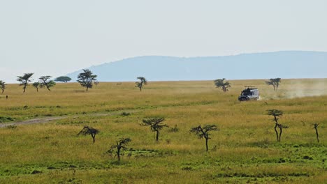 fotografía en cámara lenta de un vehículo conduciendo en un safari de vacaciones a través de la sabana, vida silvestre africana en la reserva nacional de maasai mara, kenia, áfrica animales de safari en la reserva de masai mara norte