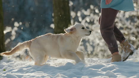 pet owner running in the snow with her dog, having a good time on a walk in the winter forest