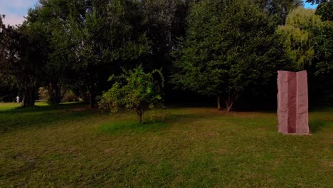 Ein-Flug-Im-Park-Zu-Einem-Kleinen-Baum