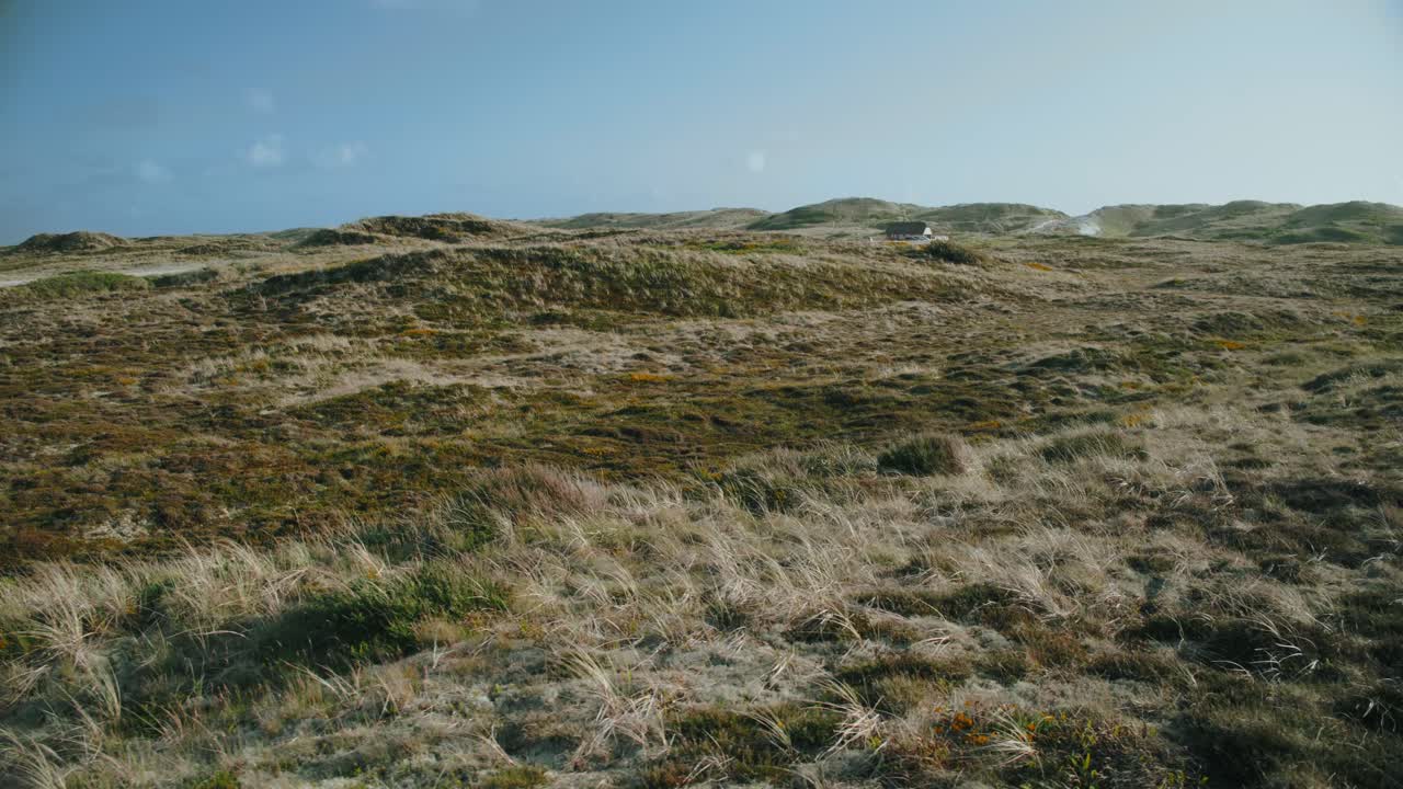los agradables prados de viento de jutlandia dinamarca tiro de gimbal