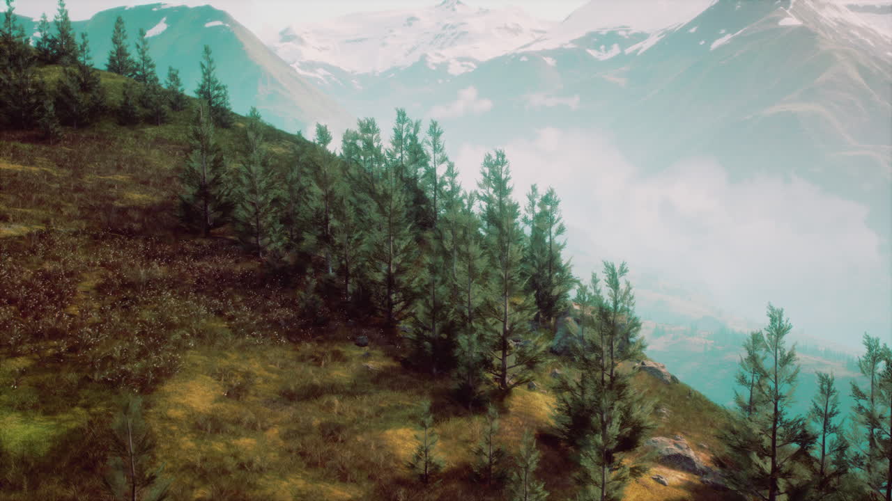Stunning View of a Mountain Range Covered in Fog with Trees in the Foreground