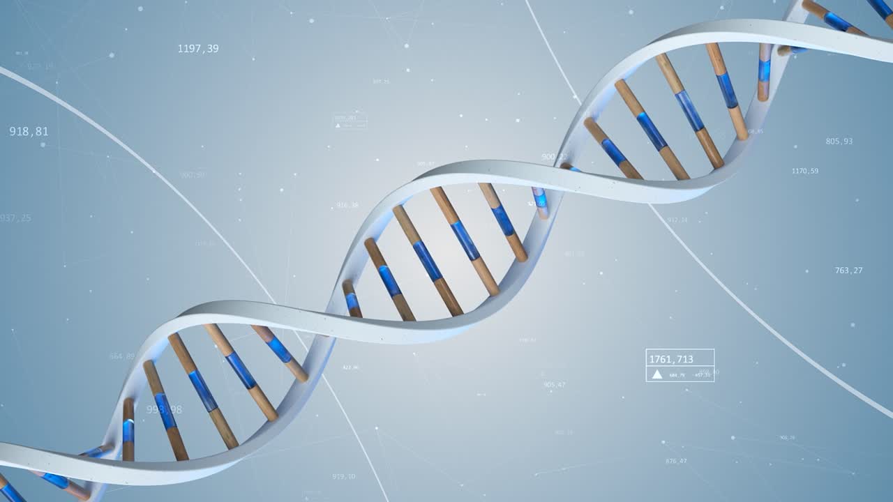 3d dna 이중 나선 시각화