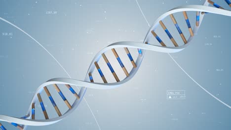 3d dna double helix visualization