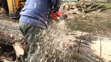 chainsaw cutting wood in slow motion and sawdust