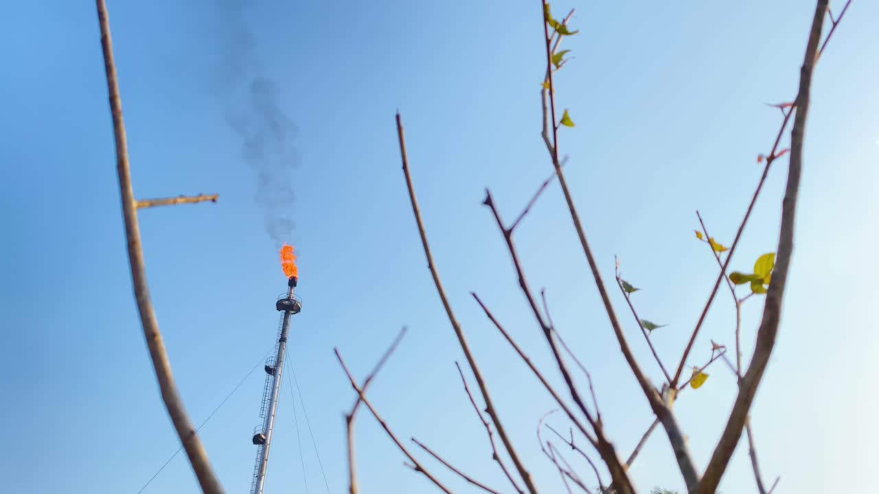 전경에 식물 가지가 있고 배경에 푸른 하늘이 있는 가스 공장의 굴뚝