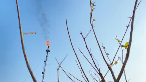 chimenea de una planta de gas quemando gas, con ramas de plantas en primer plano y un cielo azul en el fondo