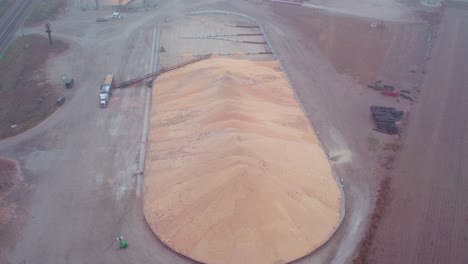 industrial grain storage site with a conveyor belt unloading from semi trucks into a large pile