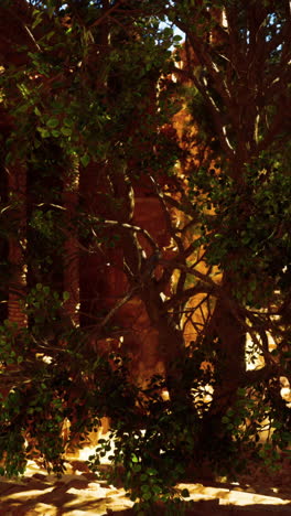 a tree in front of an ancient stone building in the desert