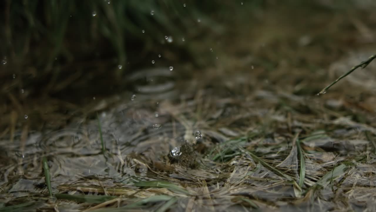 Raindrops dripping into a puddle
