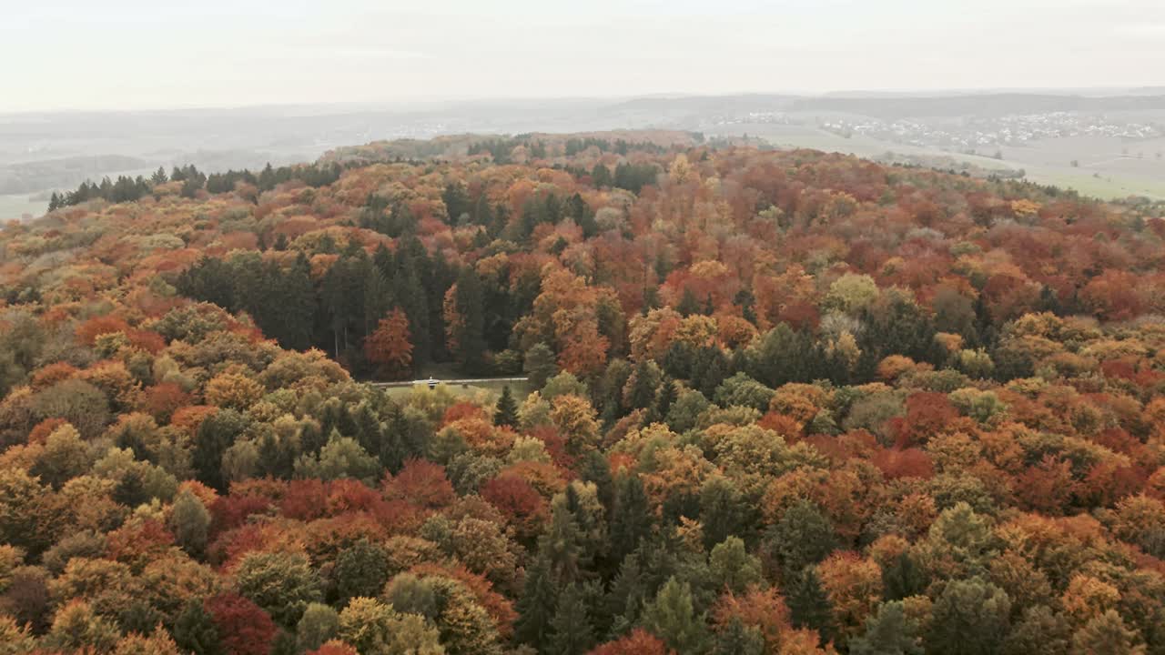 Drone moves back above vibrant autumn forest in Germany, gradually revealing the sweeping landscape and colorful trees stretching to the horizon