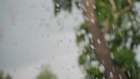close view of water splash rising from fountain, droplets scattering with blurred tree background, summer light catching motion, dynamic texture and soft green shapes behind