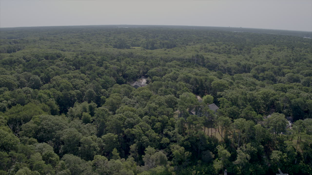 Sorvolo di alberi e case per rivelare uno stagno a Cape Cod, Massachusetts
