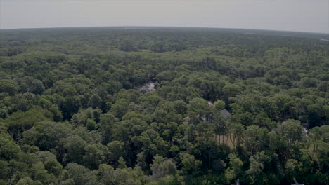 flyover trees and houses to reveal a pond in cape cod, massachusetts