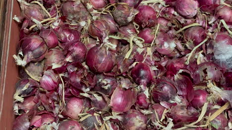 cebollas rojas rústicas apiladas en abundancia, listas para la venta en el mercado