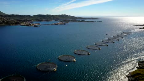 farm salmon fishing in norway