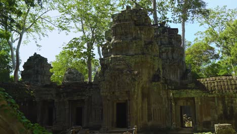 ta prohm temple ruins, siem reap, cambodia