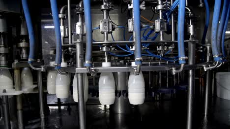 milk products pouring into plastic bottles at food factory