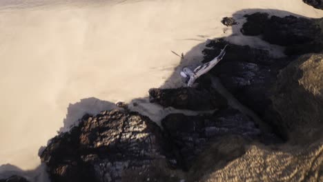 Drone-shot-of-a-fin-whale-carcass-that-was-washed-up-on-a-beach-in-Uig-on-the-Outer-Hebrides-of-Scotland