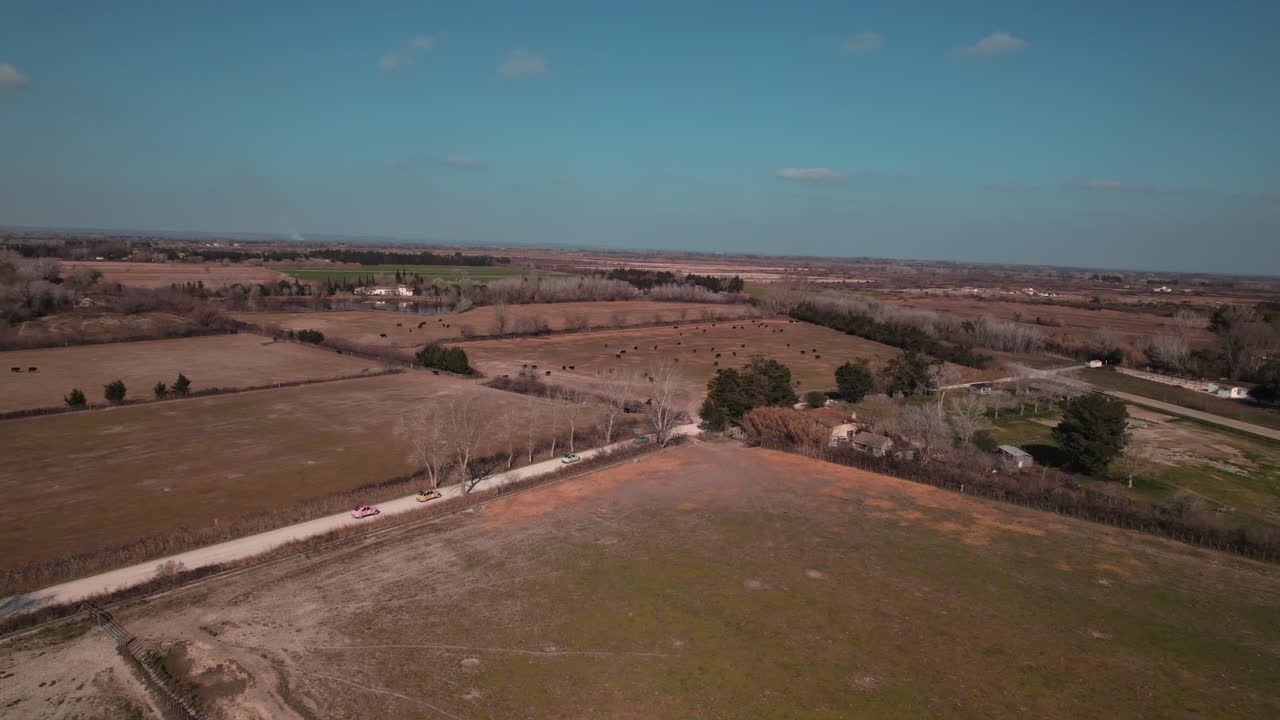프랑스 카마르그 의 아름다운 농장 을 가로질러 운전 하는 다채로운 빈티지 자동차 들 의 공중 전망