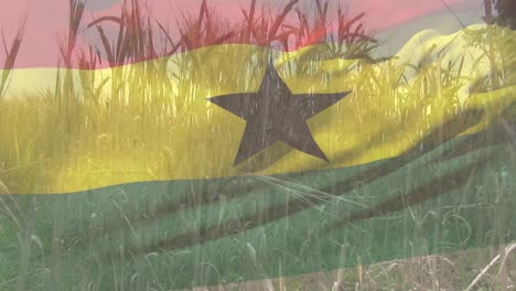 Digitale-Komposition-Der-Schwenkenden-Ghana-Flagge-Vor-Der-Nahaufnahme-Von-Feldfrüchten-Auf-Dem-Bauernhof