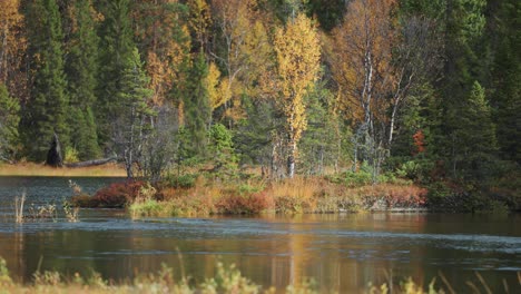 Entdecken-Sie-Die-Bezaubernde-Schönheit-Des-Herbstes,-Wenn-Leuchtende-Blätter-Die-Ufer-Eines-Gewundenen-Flusses-Schmücken-Und-Eine-Malerische-Szenerie-Saisonaler-Pracht-Und-Natürlicher-Ruhe-Schaffen