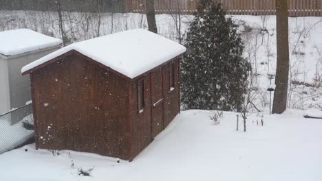 gentle winter snowfall over wooden shed, 120 fps slow motion