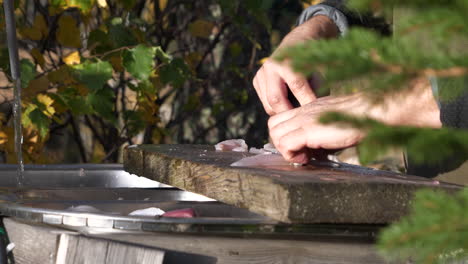 Hombre-Preparando-Filetes-De-Pescado-Perca-Al-Aire-Libre-En-Un-Paisaje-Soleado-De-Otoño