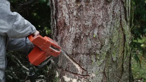 Close-up-of-handling-an-electric-chainsaw