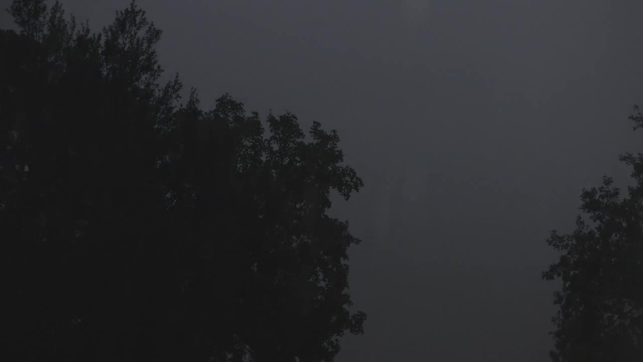 Un potente lampo illumina improvvisamente alberi e una casa rurale nella foresta durante un forte temporale notturno, rivelando dettagli nell'oscurità più totale