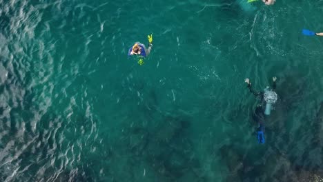 Aerial-view-of-people-enjoying-a-mix-of-different-water-activities