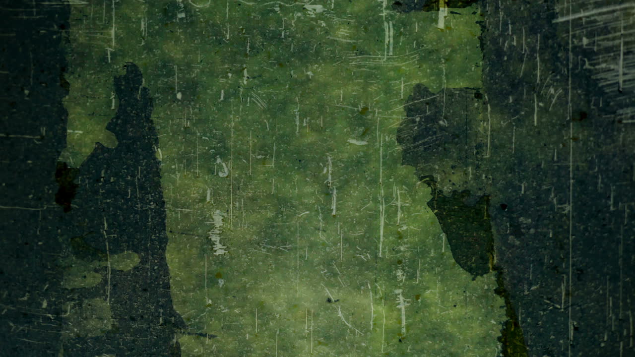 secuencia líder nuevo 27