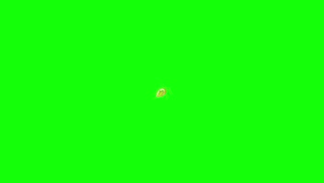 a virus-like object moves and multiplies across changing backgrounds, transitioning from black to white to green