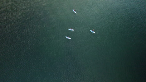 recreational water users riding standup paddleboards enjoy the beautiful baltic sea near orlowo pier in gdynia