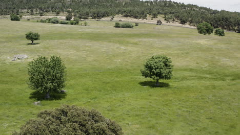 Niedrige-Und-Sanfte-Drohnenantenne-über-Den-Ausläufern-Der-Sierra-De-Guadarrama-In-Manzanares-El-Real-Spanien