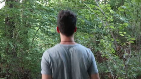 young man walking in the forest, summer time