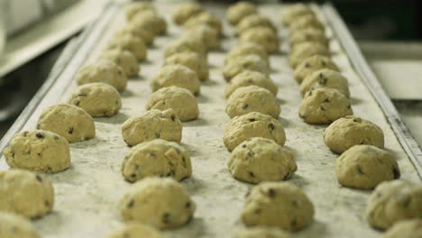 baking tray with rows of chocolate chip cookie dough ready for baking