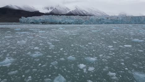 arctic sea glacier surrouded by blocks of ice in the sea