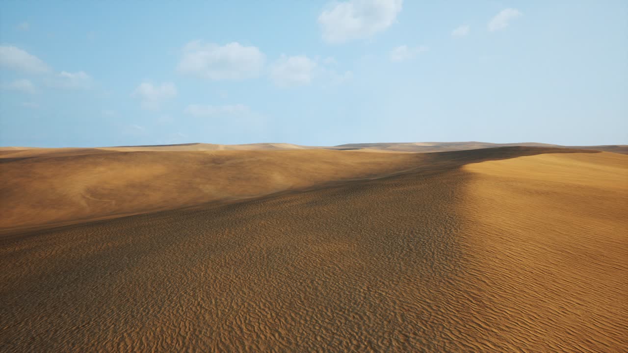 나미브 사막 의  ⁇ 은 모래 언덕 의 항공사